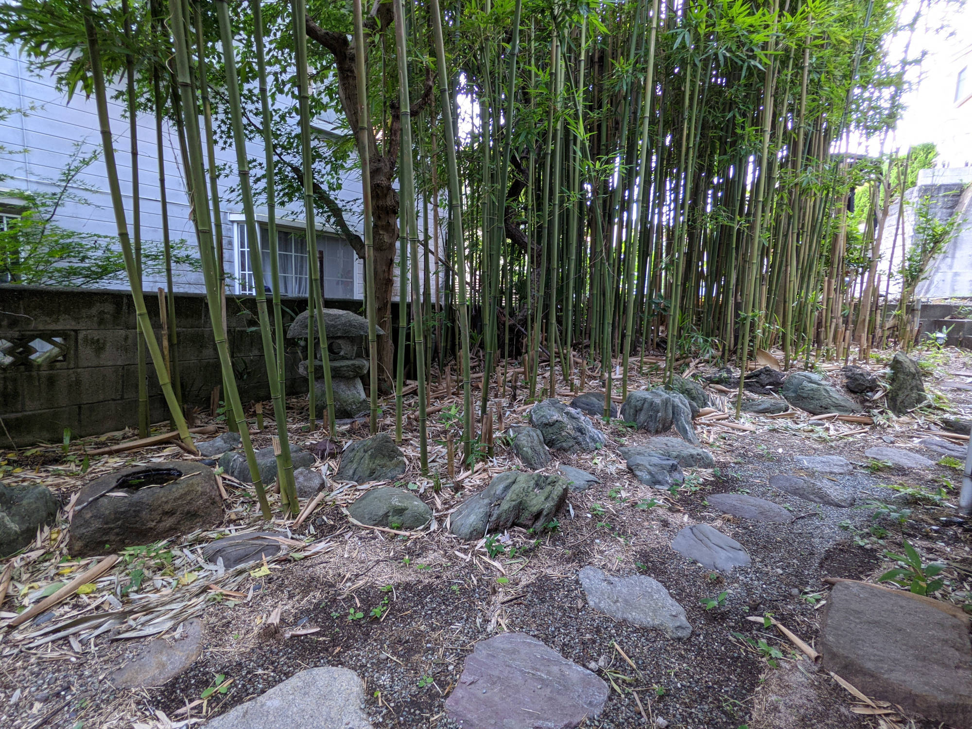 鎌倉C邸の庭